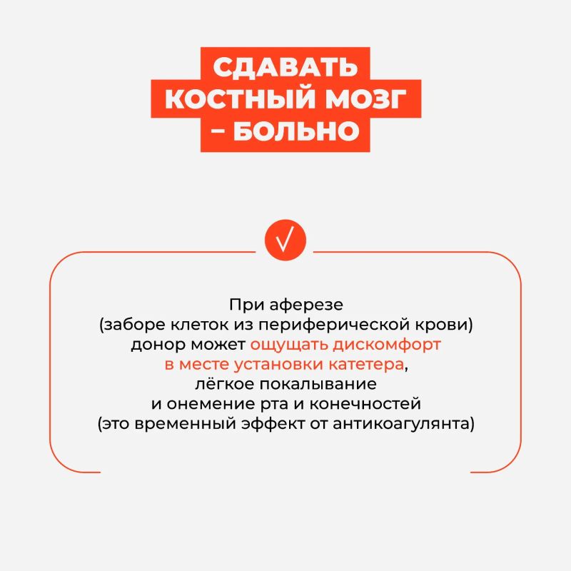 Что такое костный мозг и как происходит донорство костного мозга и стволовых кроветворных клеток — всё карточках Что такое костный мозг и как происходит донорство костного мозга и стволовых кроветворных клеток — всё карточках