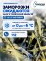 На юге Тюменской области ожидаются заморозки