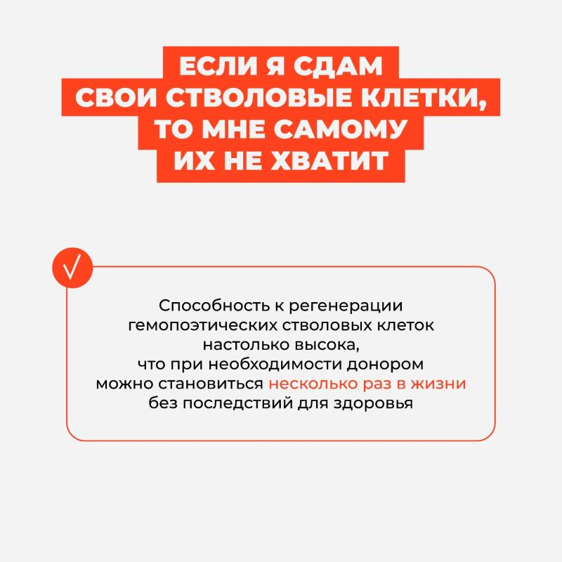 Что такое костный мозг и как происходит донорство костного мозга и стволовых кроветворных клеток — всё карточках Что такое костный мозг и как происходит донорство костного мозга и стволовых кроветворных клеток — всё карточках