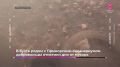 От расследования крупного наркотрафика до добрых новостей — о самых заметных событиях дня в России и мире