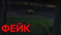 Фейки про медведей в Тобольске: мэр объявил о проверке