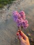 Лето не спешит уходить. АиФ Тюмень - Ямал