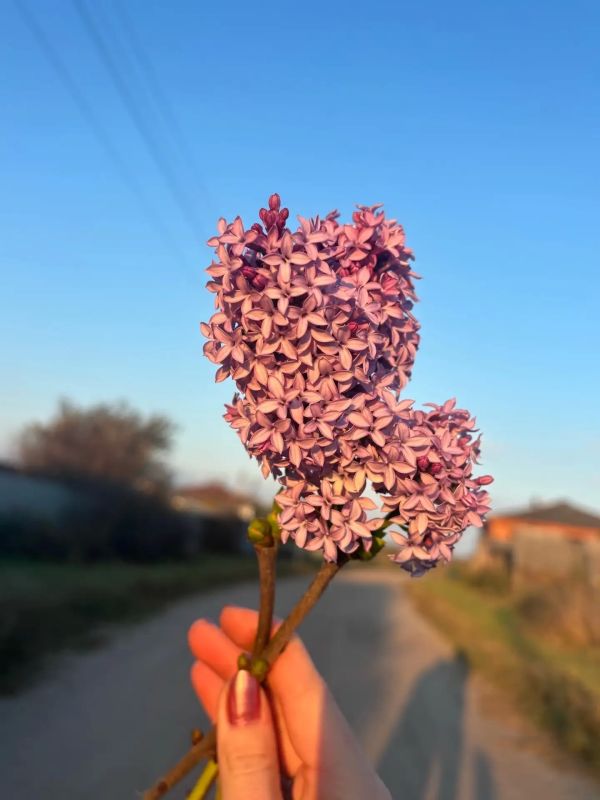 Лето не спешит уходить. АиФ Тюмень - Ямал Лето не спешит уходить. АиФ Тюмень - Ямал