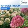 Хорошее рядом. В новостном потоке легко пропустить важное