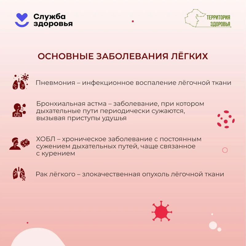Дышите. Просто дышите. А теперь задумайтесь: 20 тысяч вдохов в сутки — и ни одного дня перерыва Дышите. Просто дышите. А теперь задумайтесь: 20 тысяч вдохов в сутки — и ни одного дня перерыва