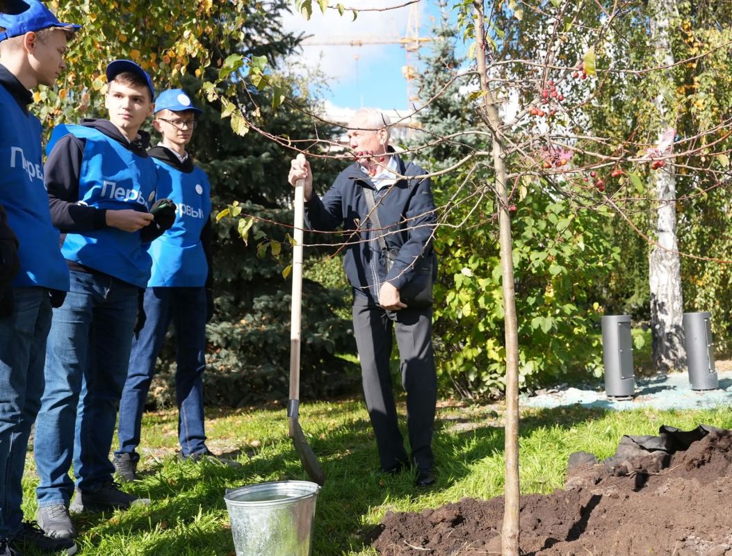 Максим Афанасьев: Новые деревья на обновлённой площади Максим Афанасьев: Новые деревья на обновлённой площади