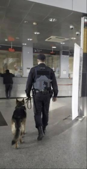 На вокзале в Тюмени работают кинологи? На вокзале в Тюмени работают кинологи?