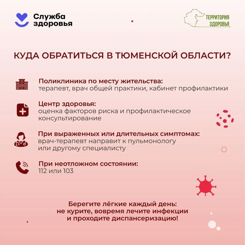 Дышите. Просто дышите. А теперь задумайтесь: 20 тысяч вдохов в сутки — и ни одного дня перерыва Дышите. Просто дышите. А теперь задумайтесь: 20 тысяч вдохов в сутки — и ни одного дня перерыва