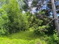 Областной экологический квест "Экомарафон" состоится в Тюмени 10 октября