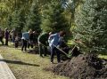 В Тюмени состоялась торжественная церемония посадки елей
