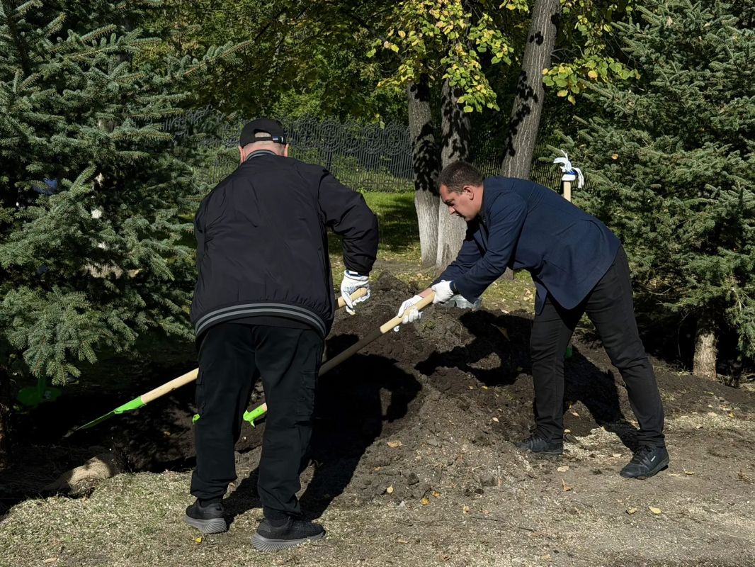 10 новых елей появились на Площади Памяти в Тюмени 10 новых елей появились на Площади Памяти в Тюмени