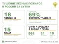 За прошедшие сутки в 9 регионах России потушили 18 лесных пожаров