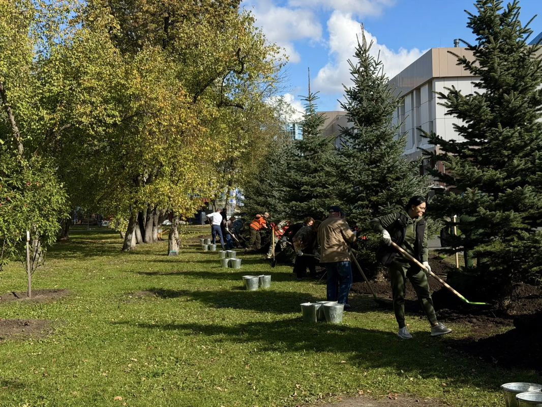 10 новых елей появились на Площади Памяти в Тюмени 10 новых елей появились на Площади Памяти в Тюмени