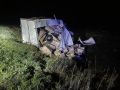 20-летний водитель «Газели» оказался в кювете из-за животного