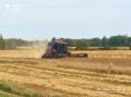 В Тюменской области обмолочено 90% зерновых культур