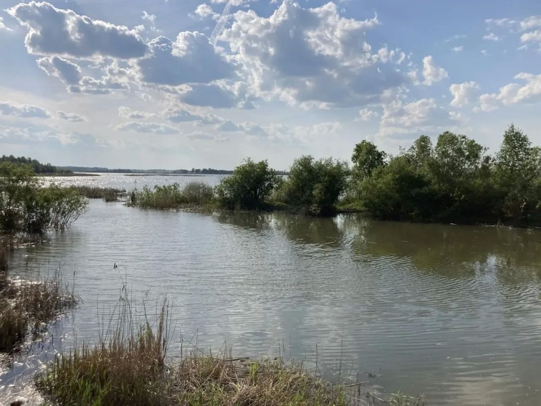 Тюменская область присоединится к Всероссийской акции "Вода России"