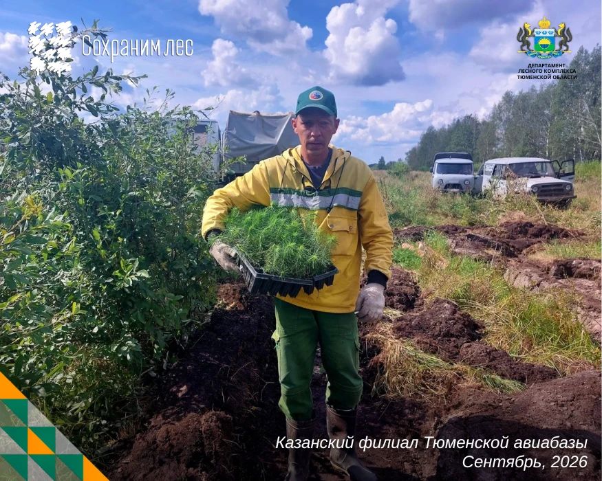 «Сохраним лес»: акция продолжается по всему региону «Сохраним лес»: акция продолжается по всему региону