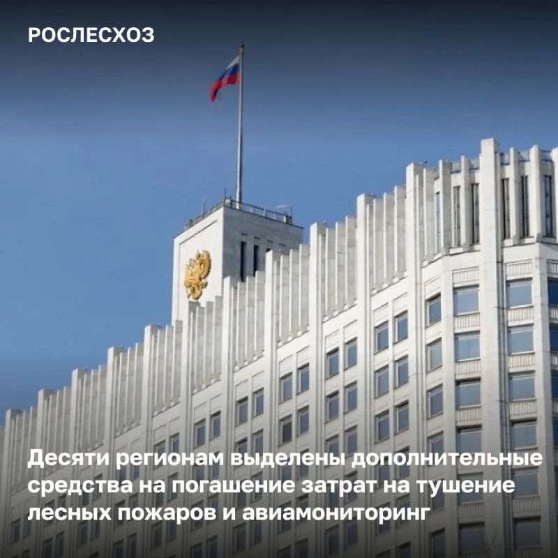 Почти 4 млрд рублей из резервного фонда Правительства России получат 10 регионов на погашение затрат на тушение лесных пожаров и авиамониторинг