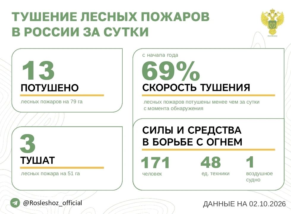 За прошедшие сутки в 8 регионах России потушили 13 лесных пожаров