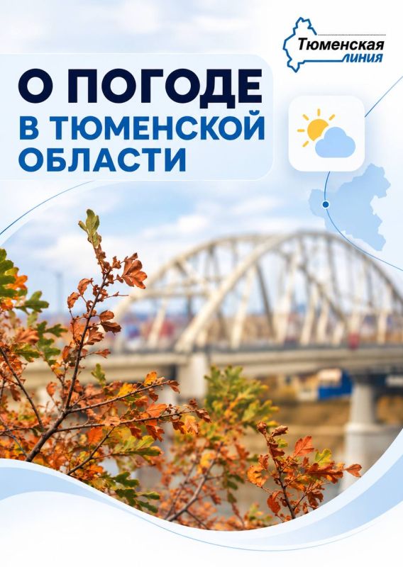 Кратковременные дожди и дневную температуру от +6 до +10 градусов прогнозируют синоптики в Тюменской области в ближайшие выходные, 3 и 4 октября