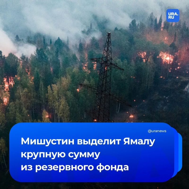 703 млн рублей получит Ямал за ликвидацию лесных пожаров
