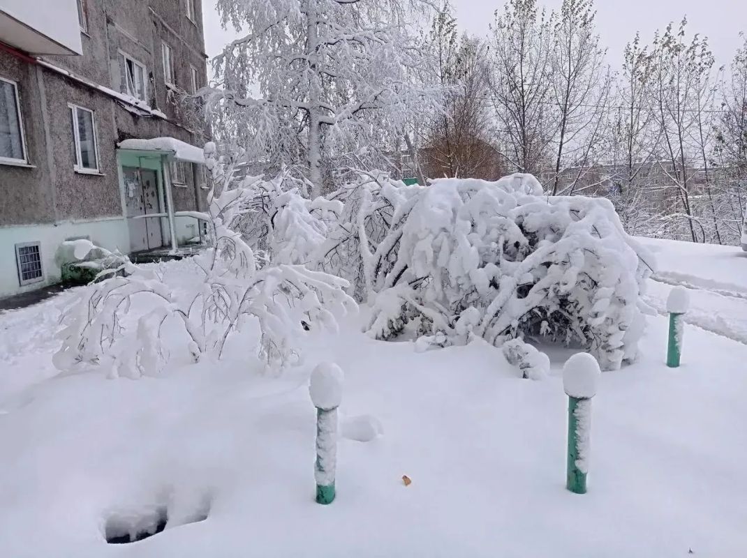 Свердловская область под снежным ударом: синоптик дал прогноз на ближайшие дни в Тюменской области Свердловская область под снежным ударом: синоптик дал прогноз на ближайшие дни в Тюменской области