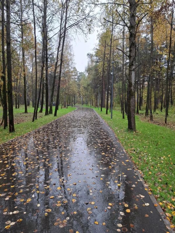 Леспаркхоз рекомендует прогулки Леспаркхоз рекомендует прогулки