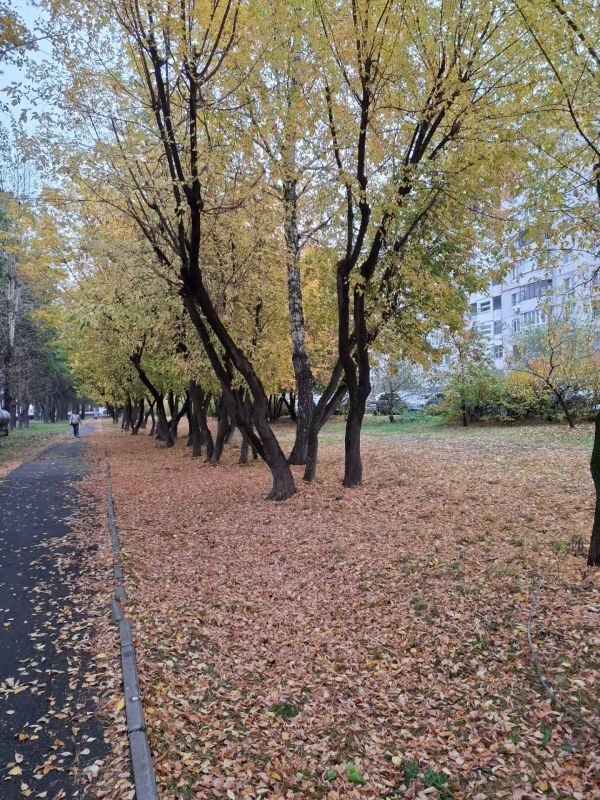 Леспаркхоз рекомендует прогулки Леспаркхоз рекомендует прогулки