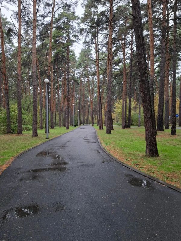 Леспаркхоз рекомендует прогулки Леспаркхоз рекомендует прогулки