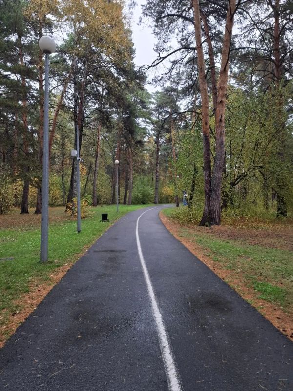 Леспаркхоз рекомендует прогулки Леспаркхоз рекомендует прогулки
