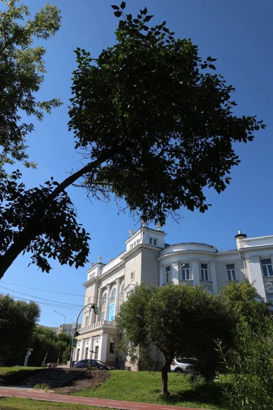 С непривычного летнего ракурса