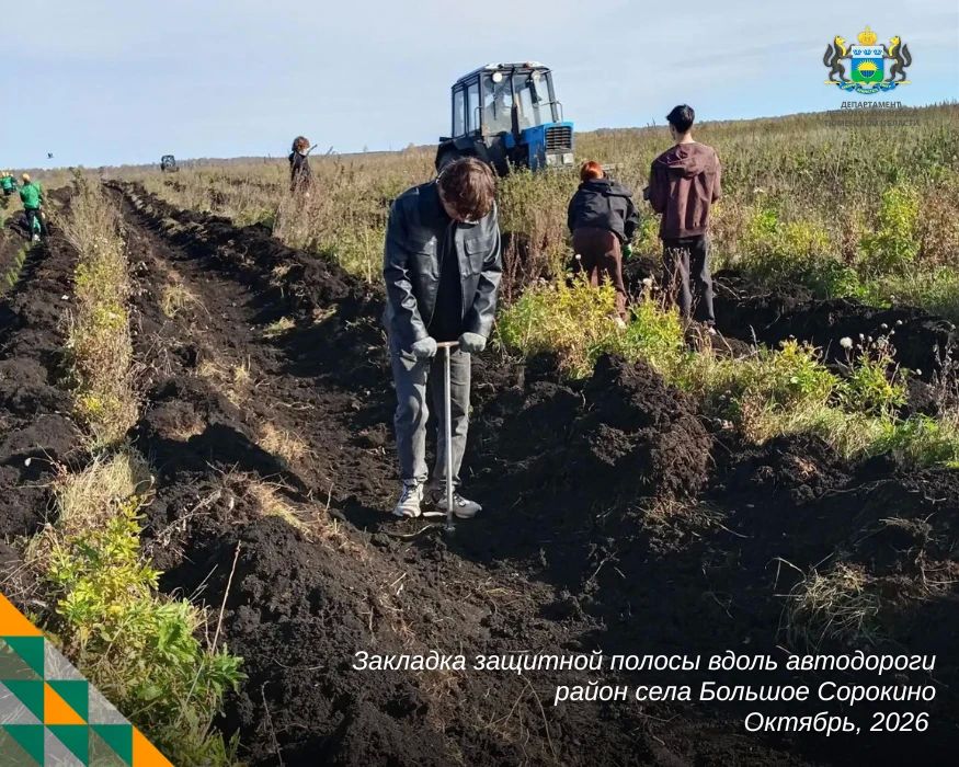 На один день — лесниками. В Сорокинской средней школе прошёл день самоуправления: ученики и учителя поменялись ролями На один день — лесниками. В Сорокинской средней школе прошёл день самоуправления: ученики и учителя поменялись ролями