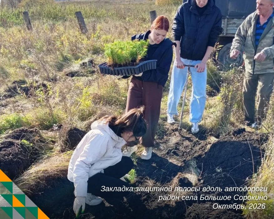 На один день — лесниками. В Сорокинской средней школе прошёл день самоуправления: ученики и учителя поменялись ролями На один день — лесниками. В Сорокинской средней школе прошёл день самоуправления: ученики и учителя поменялись ролями