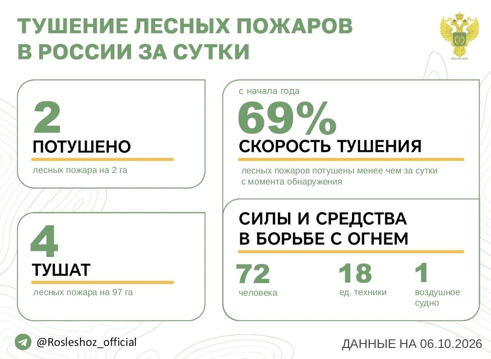 За прошедшие сутки в 2 регионах России потушили 2 лесных пожара