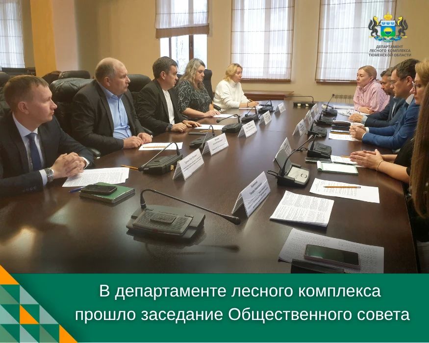 Вопросы предоставления гражданам древесины и планы по санитарным мероприятиям в лесах обсудили участники Общественного совета при департаменте лесного комплекса Тюменской области