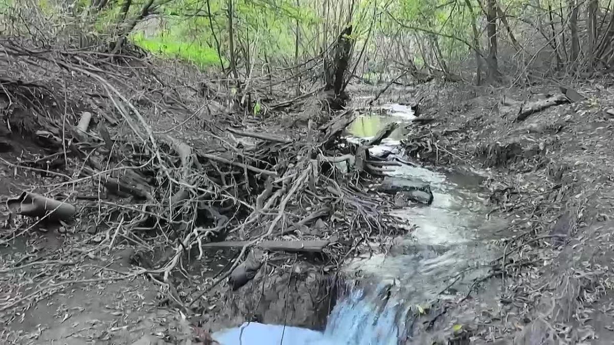 Городищенский лог хотят превратить в природный рекреационный каркас Тюмени