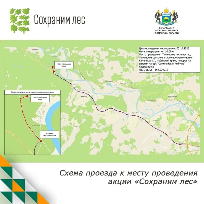 Центральное мероприятие акции "Сохраним лес" состоится 10 октября
