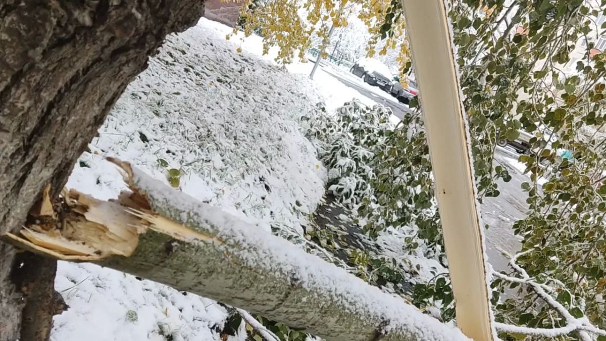 А в Сургуте уже зима. Коммунальщики продолжают расчищать улицы от последствий первого снегопада А в Сургуте уже зима. Коммунальщики продолжают расчищать улицы от последствий первого снегопада