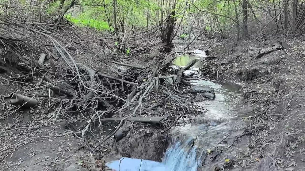 Городищенский лог хотят благоустроить без большой застройки
