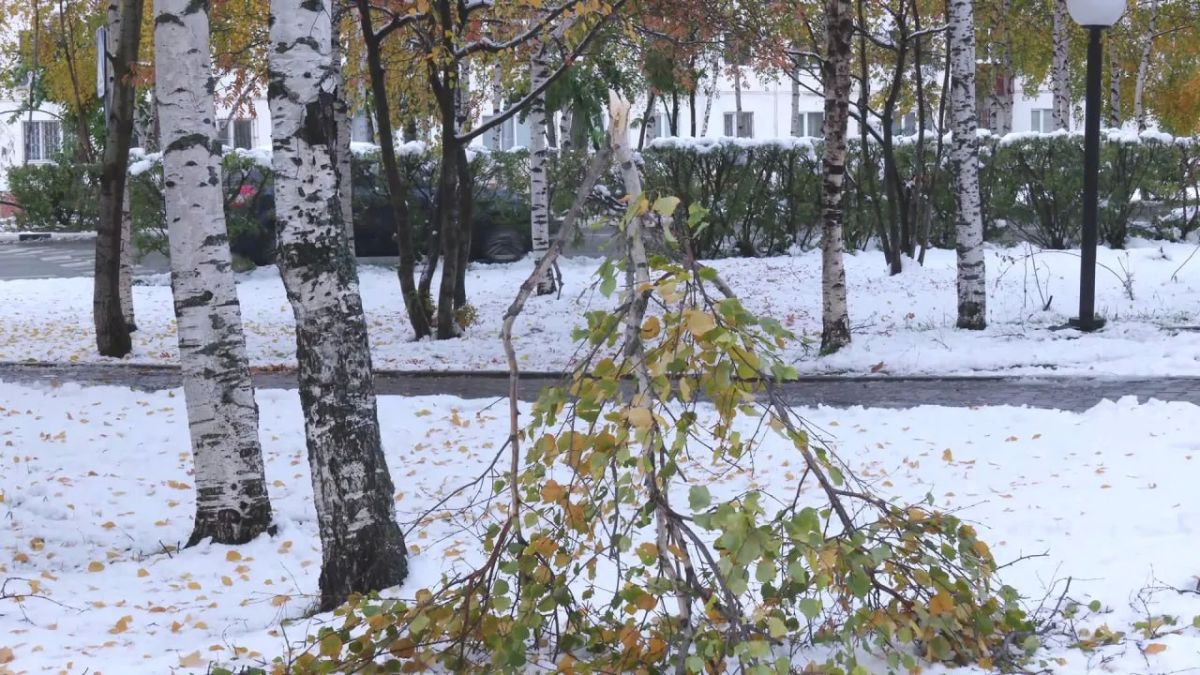 А в Сургуте уже зима. Коммунальщики продолжают расчищать улицы от последствий первого снегопада