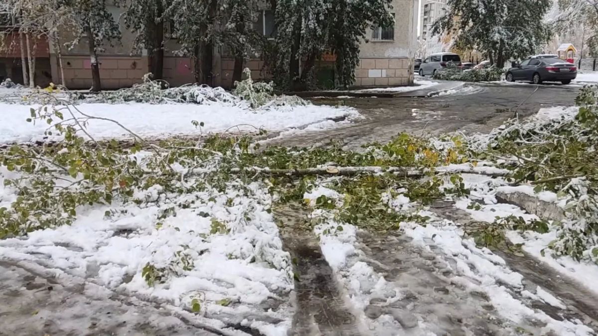 А в Сургуте уже зима. Коммунальщики продолжают расчищать улицы от последствий первого снегопада А в Сургуте уже зима. Коммунальщики продолжают расчищать улицы от последствий первого снегопада