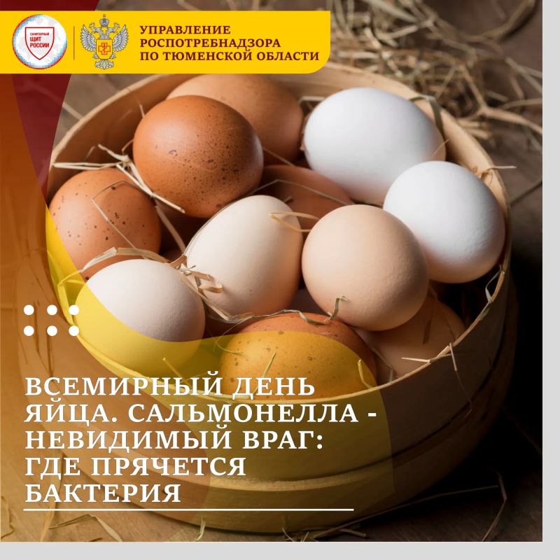 Всемирный день яйца отмечают ежегодно во вторую пятницу октября
