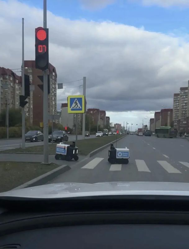 Милые, но несамостоятельные: роботыкурьеры осваивают Тюмень