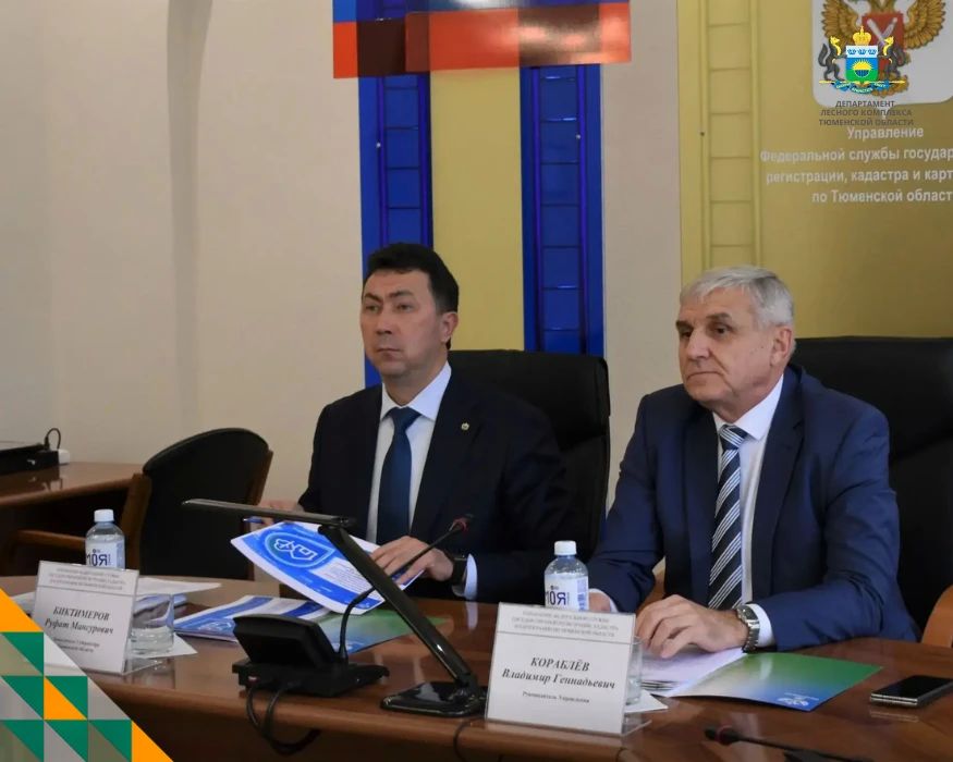 НСПД — новый инструмент для контроля в лесном комплексе