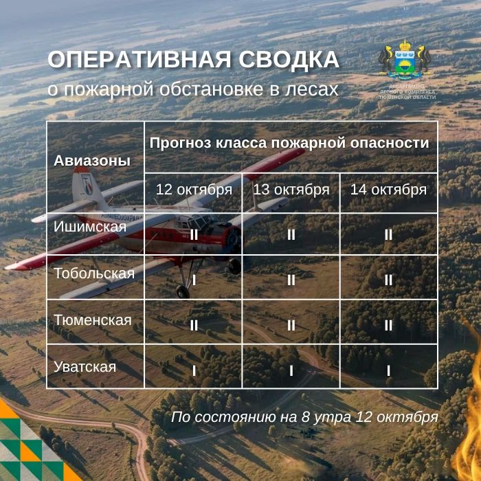 По данным региональной диспетчерской службы, на утро 12 октября в Тюменской области нет действующих лесных пожаров
