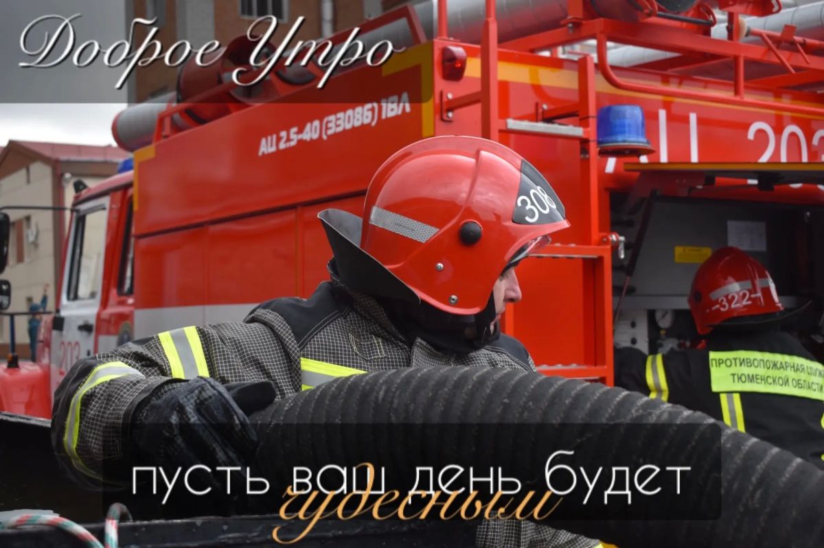 Доброе утро, Тюмень!. Утром +7 °C, днём +11 °C