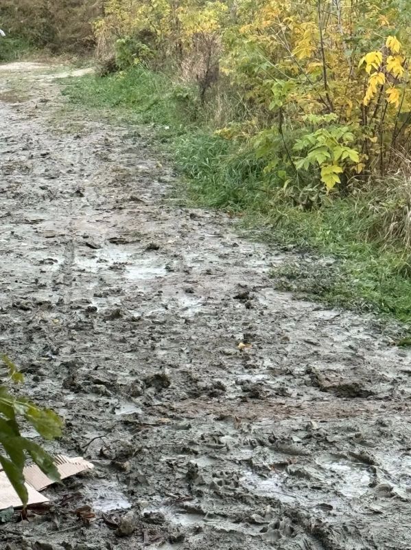 Сотни тюменцев утопают в глине по дороге домой Сотни тюменцев утопают в глине по дороге домой