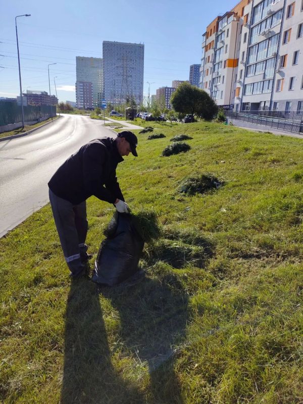 В Восточном округе состоялась акция «Тропа без пакетов» В Восточном округе состоялась акция «Тропа без пакетов»