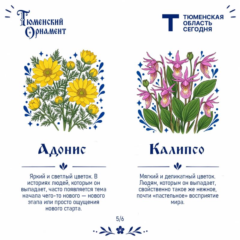 У каждого растения – своё настроение У каждого растения – своё настроение