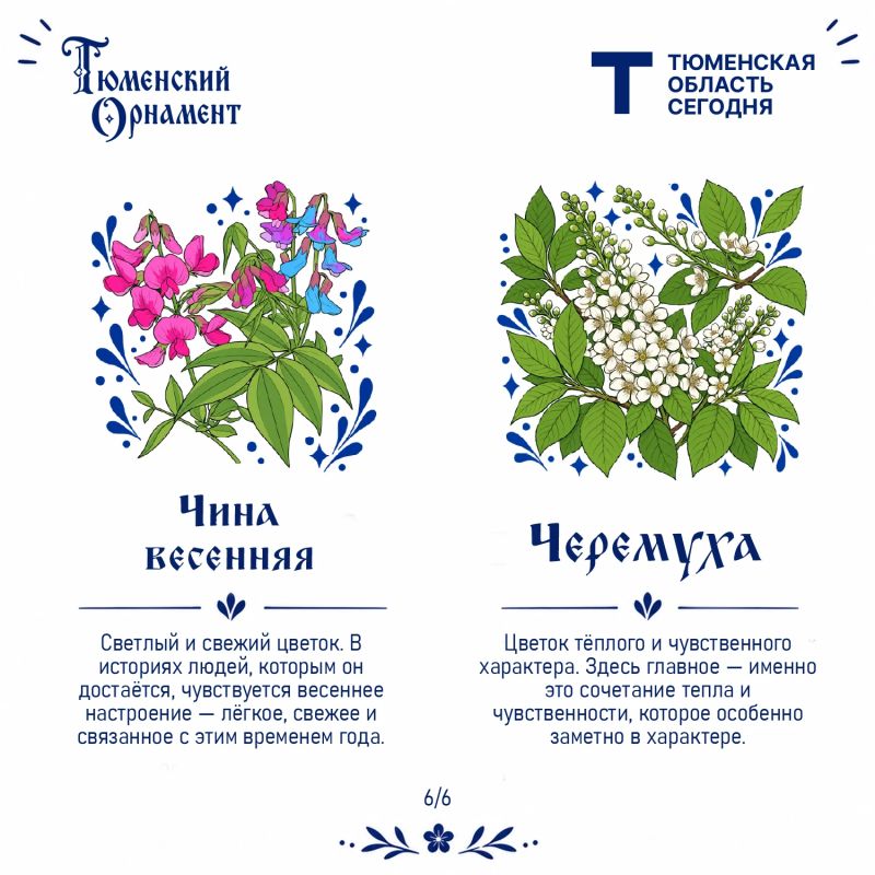 У каждого растения – своё настроение У каждого растения – своё настроение